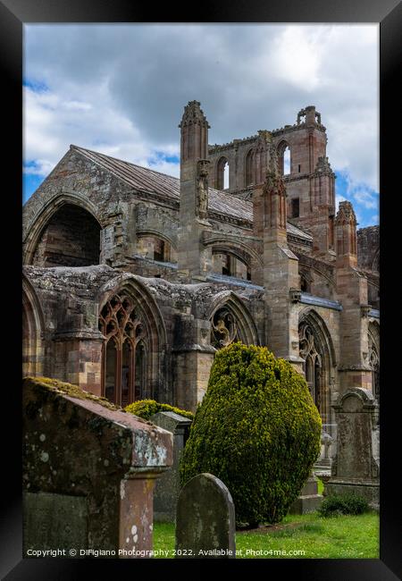 Melrose Abbey Framed Print by DiFigiano Photography