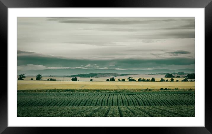 Rolling Hills of Arbroath Framed Mounted Print by DAVID FRANCIS