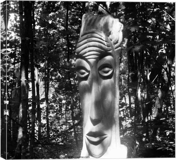 Sculpture from Zaire in b & w Canvas Print by Stephanie Moore