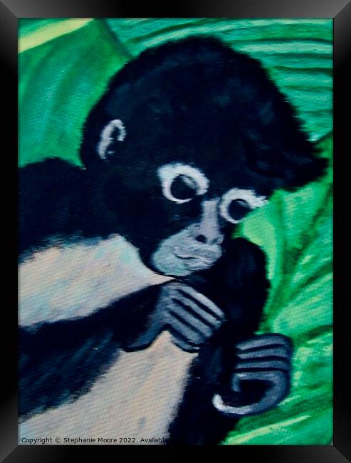 Black Monkey Framed Print by Stephanie Moore
