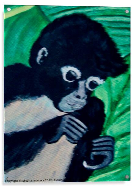 Black Monkey Acrylic by Stephanie Moore