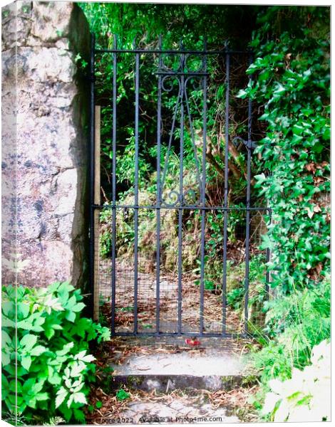 Ivy covered gatepost Canvas Print by Stephanie Moore