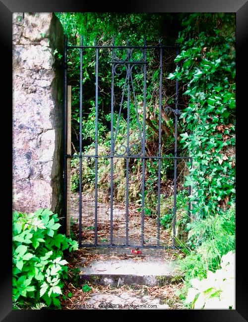 Ivy covered gatepost Framed Print by Stephanie Moore
