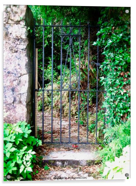 Ivy covered gatepost Acrylic by Stephanie Moore