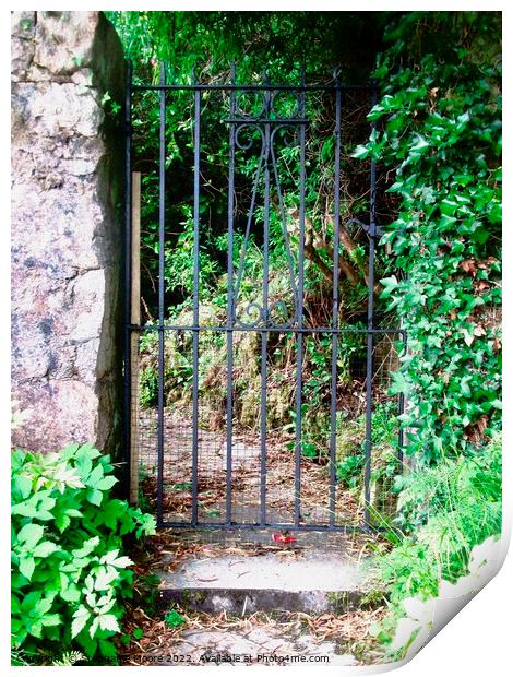 Ivy covered gatepost Print by Stephanie Moore