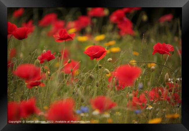 Outdoor field Framed Print by Simon Johnson