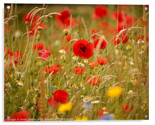 Outdoor field Acrylic by Simon Johnson