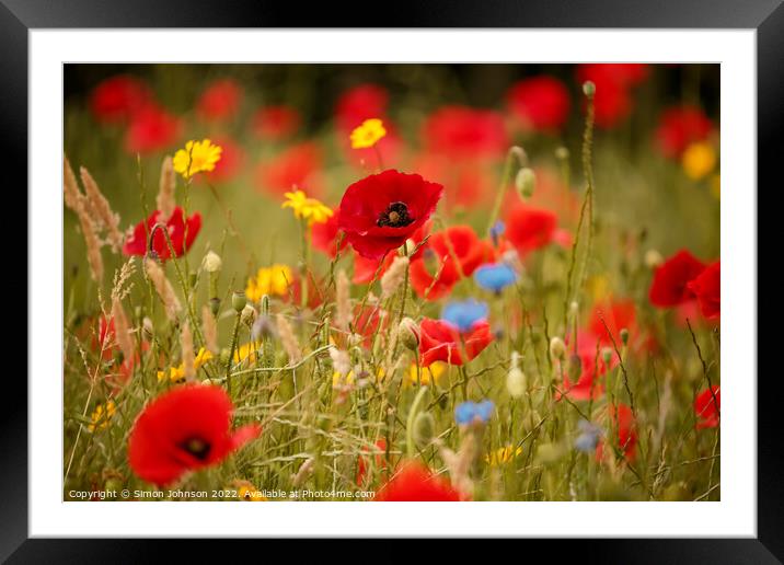 Outdoor field Framed Mounted Print by Simon Johnson