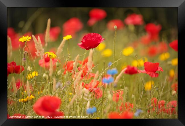 Outdoor field Framed Print by Simon Johnson