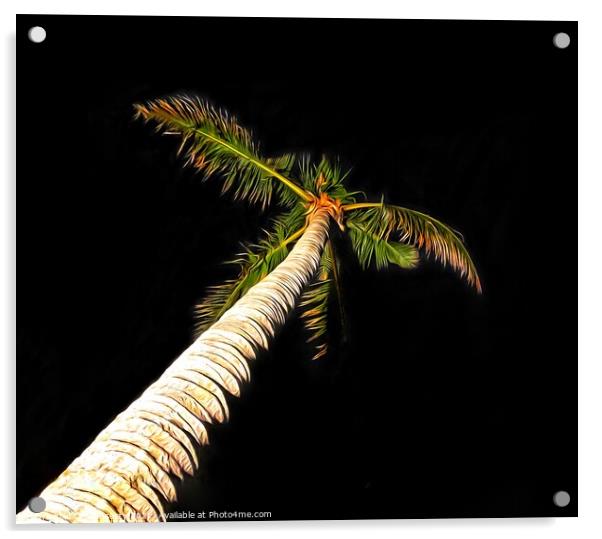 Palm Tree on Black Background Acrylic by Julie Gresty