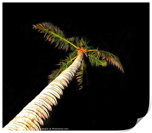 Palm Tree on Black Background Print by Julie Gresty