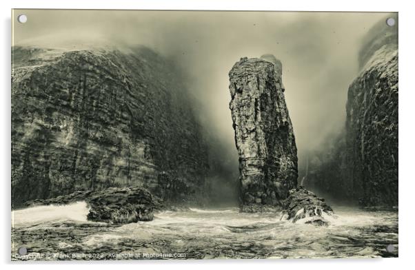 Vestmanna bird cliffs on the Faroe Islands Acrylic by Frank Bach
