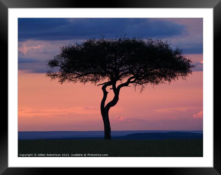 Masai Mara sunset Framed Mounted Print by Gillian Robertson