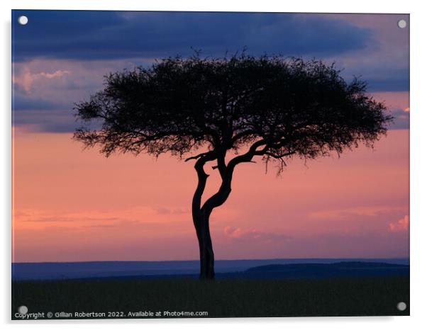Masai Mara sunset Acrylic by Gillian Robertson