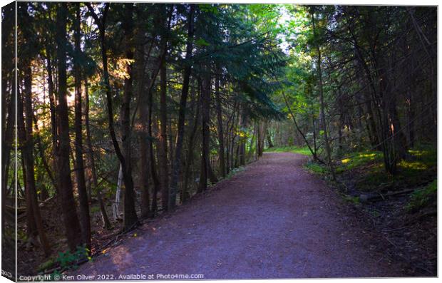 Enchanting Path Through Ontario's Wooded Wonderlan Canvas Print by Ken Oliver
