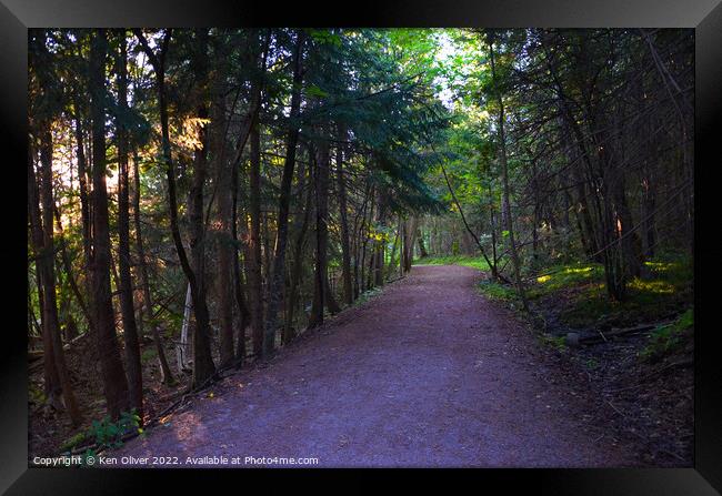 Enchanting Path Through Ontario's Wooded Wonderlan Framed Print by Ken Oliver