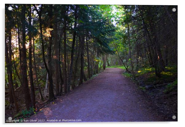 Enchanting Path Through Ontario's Wooded Wonderlan Acrylic by Ken Oliver