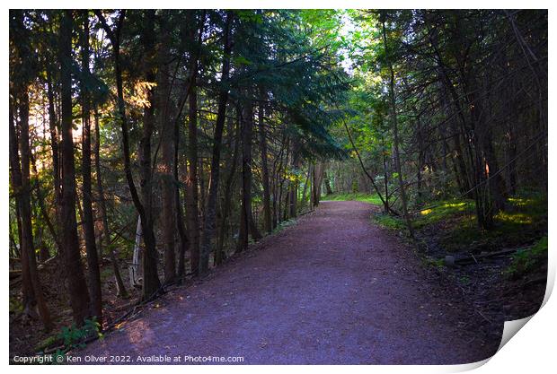 Enchanting Path Through Ontario's Wooded Wonderlan Print by Ken Oliver