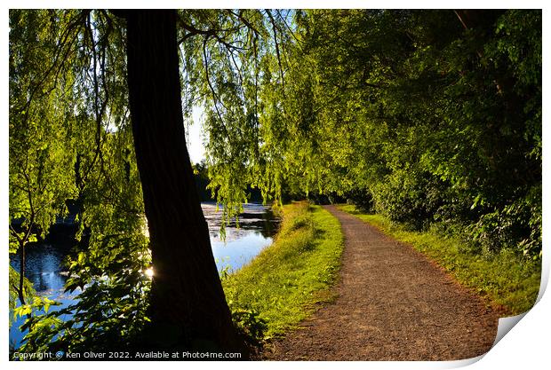 Serene Pathway: A Tranquil Journey through Jackson Print by Ken Oliver