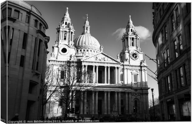 St Paul's Cathedral in monochrome Canvas Print by Ann Biddlecombe