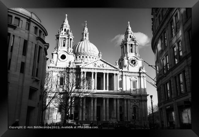 St Paul's Cathedral in monochrome Framed Print by Ann Biddlecombe