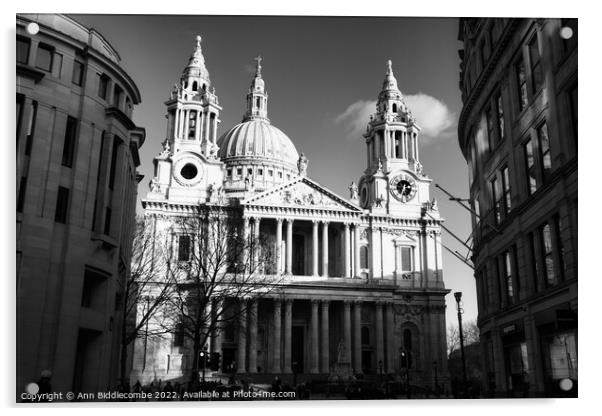 St Paul's Cathedral in monochrome Acrylic by Ann Biddlecombe