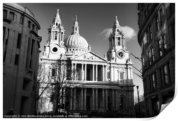 St Paul's Cathedral in monochrome Print by Ann Biddlecombe