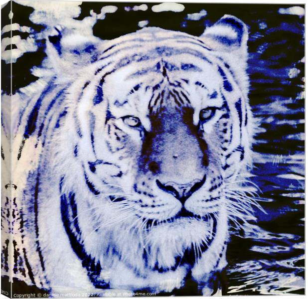CYANOTYPE EFFECT on the glance of a siberian tiger Canvas Print by daniele mattioda