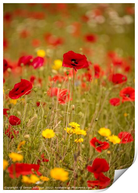 Poppy  field Print by Simon Johnson