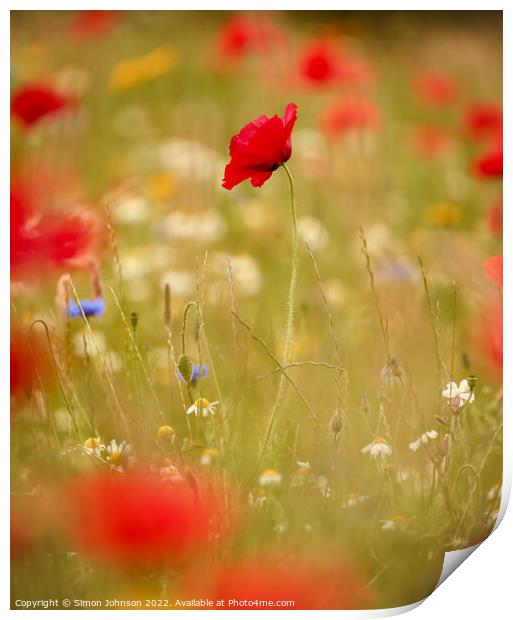  Creative image of Poppy Print by Simon Johnson