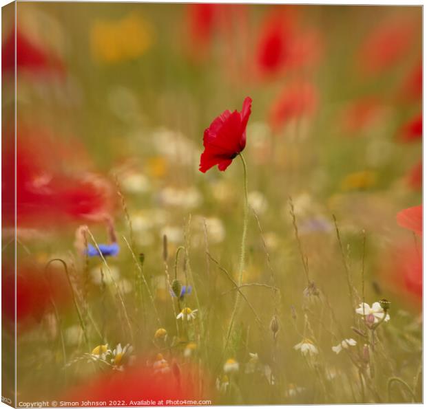 Creative image of poppy Canvas Print by Simon Johnson