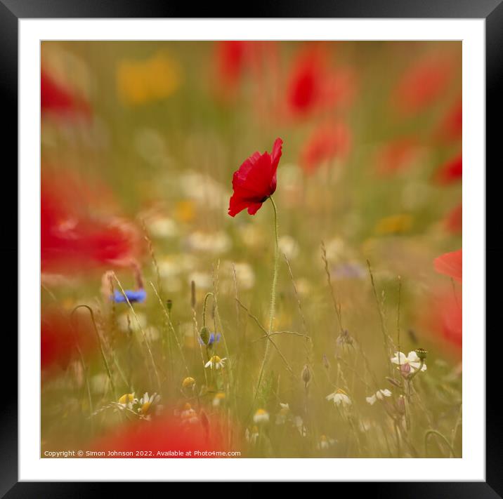 Creative image of poppy Framed Mounted Print by Simon Johnson