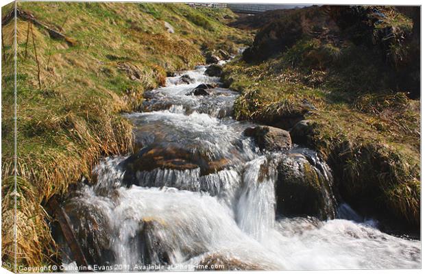 Cairngorm Mountain Stream Canvas Print by Catherine Fowler