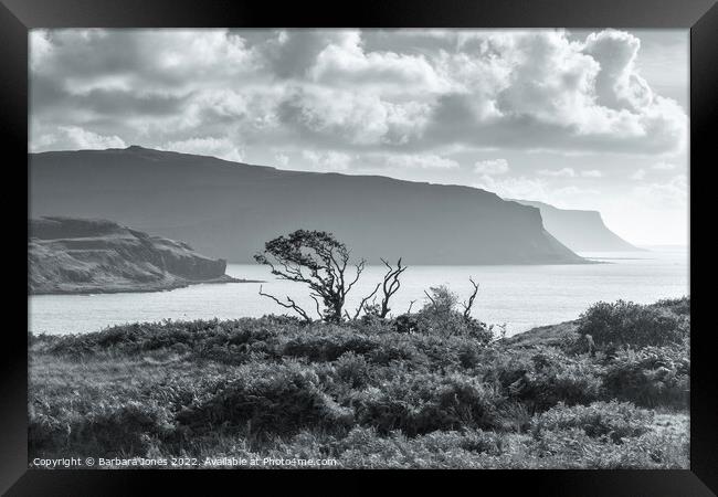 Gribun across Loch na Keal Isle of Mull Scotland Framed Print by Barbara Jones