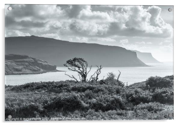 Gribun across Loch na Keal Isle of Mull Scotland Acrylic by Barbara Jones