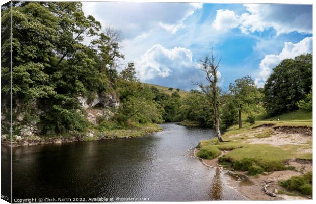 The river Wharfe above Burnsall  Canvas Print by Chris North