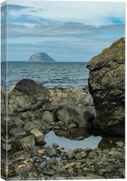 View to Ailsa Craig, Scotland Canvas Print by Heather Athey