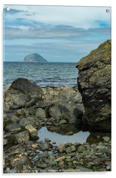 View to Ailsa Craig, Scotland Acrylic by Heather Athey