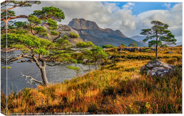 Slioch and Loch Maree in Autumn colour Canvas Print by Chris Drabble