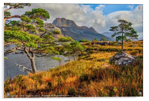 Slioch and Loch Maree in Autumn colour Acrylic by Chris Drabble