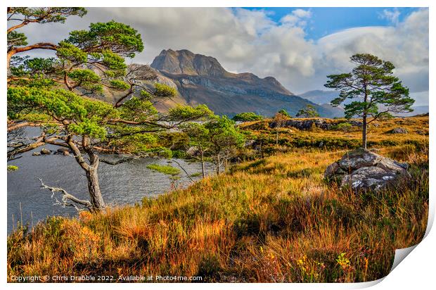 Slioch and Loch Maree in Autumn colour Print by Chris Drabble