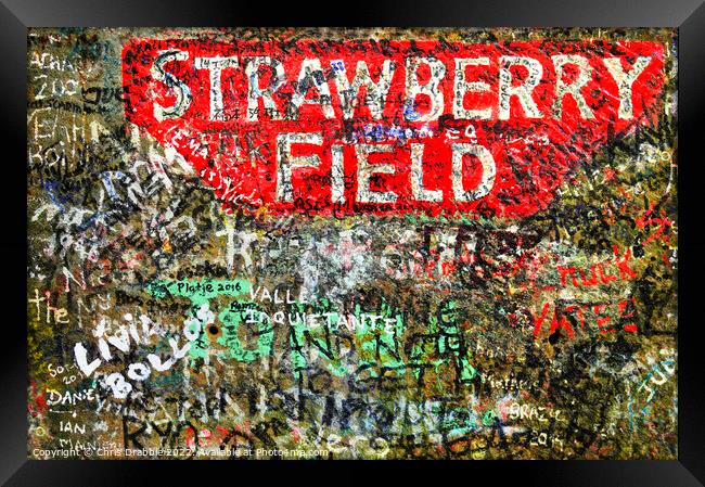 Strawberry Field Framed Print by Chris Drabble
