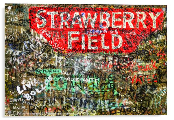 Strawberry Field Acrylic by Chris Drabble