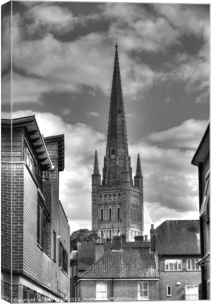 Norwich Cathedral Spire in black and white Canvas Print by Sally Lloyd