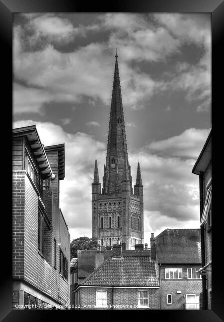 Norwich Cathedral Spire in black and white Framed Print by Sally Lloyd