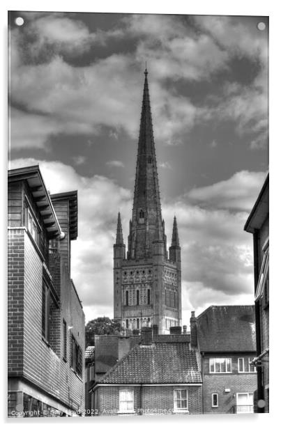Norwich Cathedral Spire in black and white Acrylic by Sally Lloyd
