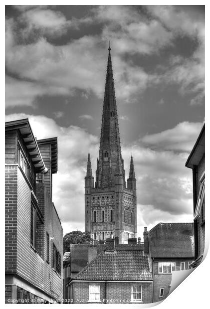 Norwich Cathedral Spire in black and white Print by Sally Lloyd