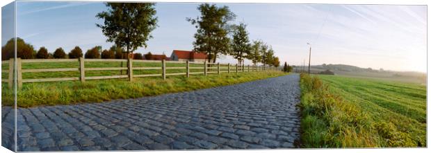 paving sett road  in autumnal sunlight Canvas Print by youri Mahieu