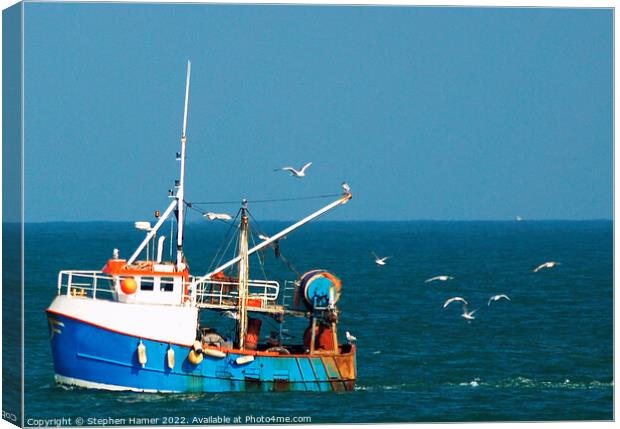 Gull's following Trawler Canvas Print by Stephen Hamer
