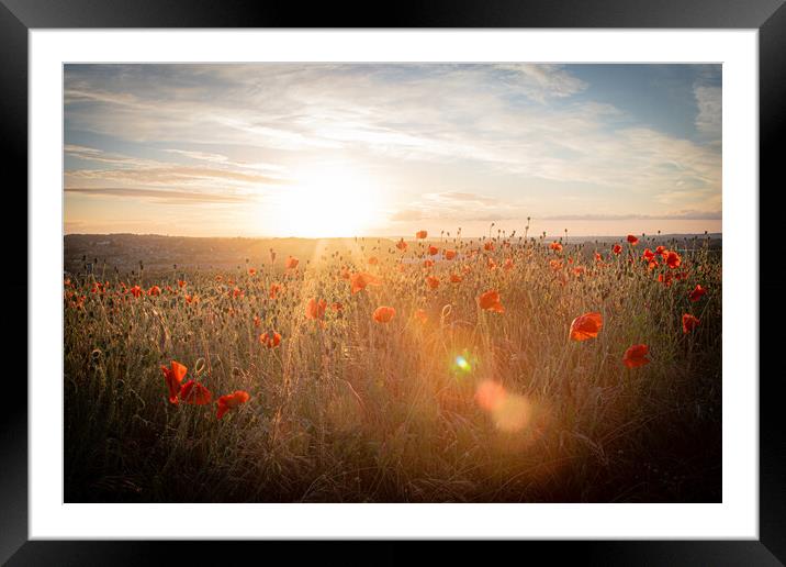 Poppy Field Late Day Sun Framed Mounted Print by J Biggadike